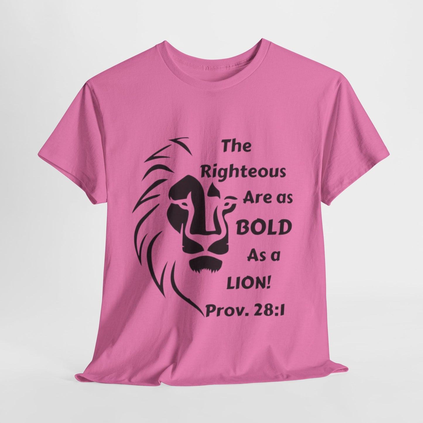 Bold Lion Unisex Tee - I Belong to Christ - 323 Bold Apparel