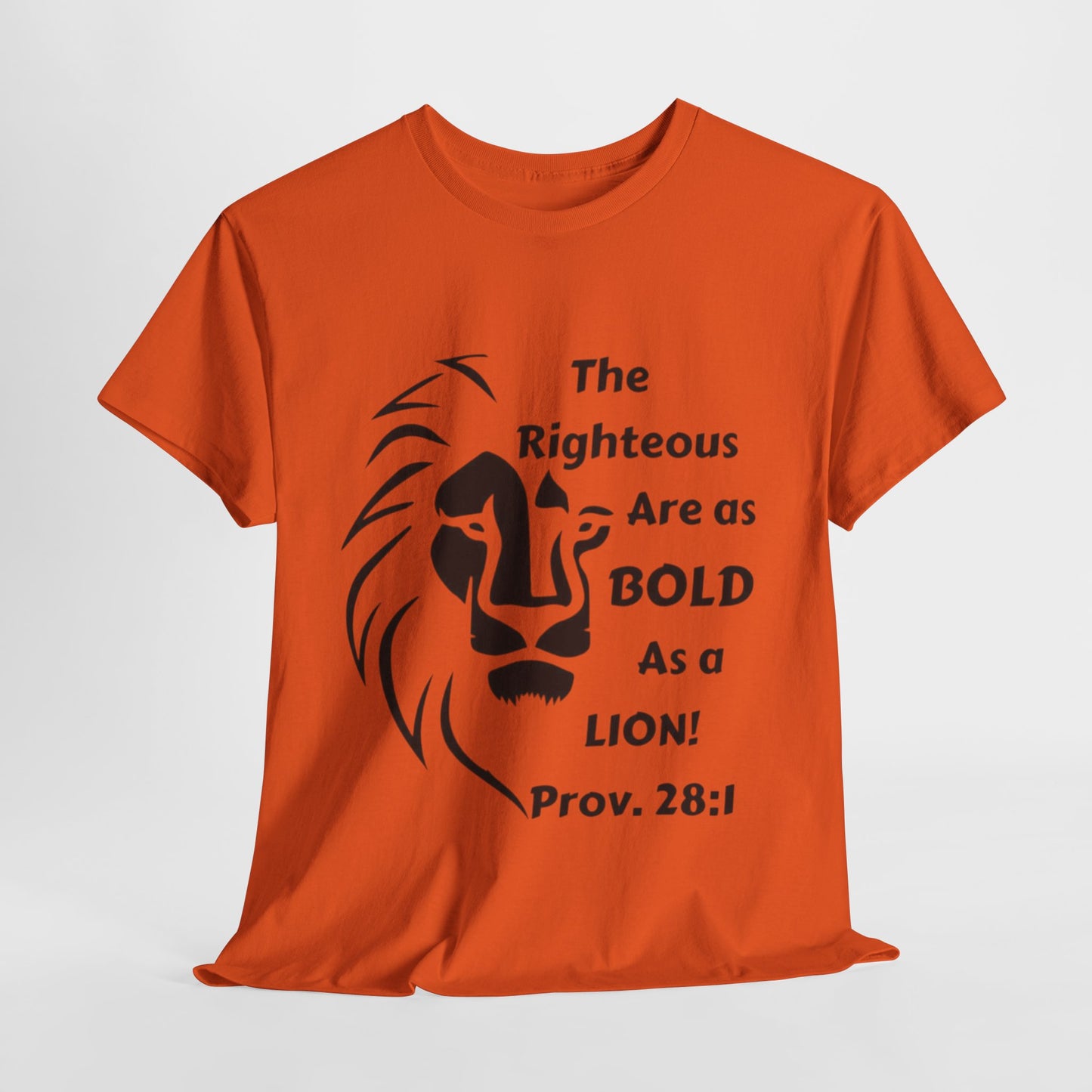 Bold Lion Unisex Tee - I Belong to Christ - 323 Bold Apparel